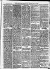 Ilfracombe Chronicle Saturday 30 January 1875 Page 11