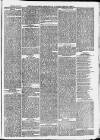 Ilfracombe Chronicle Saturday 06 February 1875 Page 3