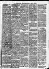 Ilfracombe Chronicle Saturday 06 February 1875 Page 11