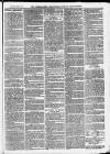 Ilfracombe Chronicle Saturday 27 February 1875 Page 11