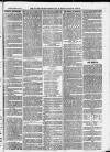 Ilfracombe Chronicle Saturday 13 March 1875 Page 11