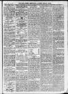 Ilfracombe Chronicle Saturday 10 April 1875 Page 5