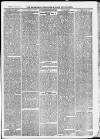 Ilfracombe Chronicle Saturday 10 April 1875 Page 11