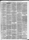 Ilfracombe Chronicle Saturday 01 May 1875 Page 11