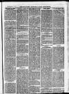 Ilfracombe Chronicle Saturday 17 July 1875 Page 3