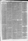 Ilfracombe Chronicle Saturday 27 January 1877 Page 13