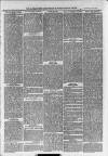 Ilfracombe Chronicle Saturday 15 January 1876 Page 10