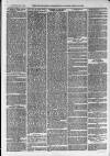 Ilfracombe Chronicle Saturday 15 January 1876 Page 11