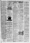 Ilfracombe Chronicle Saturday 29 January 1876 Page 10