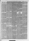 Ilfracombe Chronicle Saturday 12 February 1876 Page 2