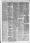 Ilfracombe Chronicle Saturday 12 February 1876 Page 3