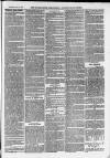 Ilfracombe Chronicle Saturday 19 February 1876 Page 11