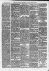 Ilfracombe Chronicle Saturday 04 March 1876 Page 11