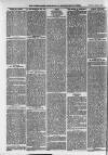 Ilfracombe Chronicle Saturday 22 April 1876 Page 10