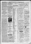 Ilfracombe Chronicle Saturday 29 April 1876 Page 7