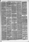 Ilfracombe Chronicle Saturday 13 May 1876 Page 11