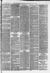 Ilfracombe Chronicle Saturday 10 June 1876 Page 11