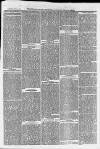 Ilfracombe Chronicle Saturday 17 June 1876 Page 3