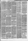 Ilfracombe Chronicle Saturday 17 June 1876 Page 11