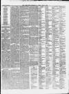 Ilfracombe Chronicle Saturday 27 January 1877 Page 3