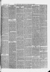 Ilfracombe Chronicle Saturday 16 February 1878 Page 7