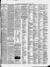 Ilfracombe Chronicle Saturday 01 June 1878 Page 3