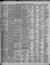 Ilfracombe Chronicle Saturday 19 April 1879 Page 3