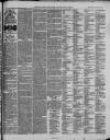 Ilfracombe Chronicle Saturday 01 November 1879 Page 3