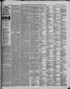 Ilfracombe Chronicle Saturday 08 November 1879 Page 3