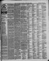 Ilfracombe Chronicle Saturday 22 November 1879 Page 3