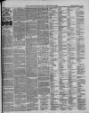 Ilfracombe Chronicle Saturday 06 December 1879 Page 3