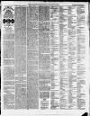 Ilfracombe Chronicle Saturday 03 January 1880 Page 3