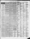 Ilfracombe Chronicle Saturday 17 January 1880 Page 3