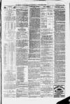 Ilfracombe Chronicle Saturday 07 August 1880 Page 5