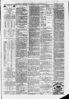 Ilfracombe Chronicle Saturday 14 August 1880 Page 5