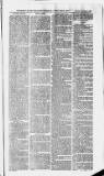 Ilfracombe Chronicle Saturday 06 November 1880 Page 5