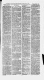 Ilfracombe Chronicle Saturday 29 January 1881 Page 5