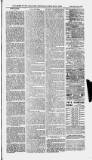 Ilfracombe Chronicle Saturday 21 May 1881 Page 5