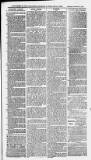 Ilfracombe Chronicle Saturday 24 December 1881 Page 5