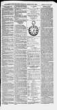 Ilfracombe Chronicle Saturday 04 November 1882 Page 5