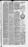 Ilfracombe Chronicle Saturday 27 January 1883 Page 5