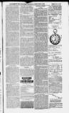 Ilfracombe Chronicle Saturday 12 May 1883 Page 5