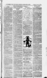 Ilfracombe Chronicle Saturday 17 November 1883 Page 5