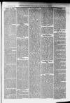 Ilfracombe Chronicle Saturday 11 April 1885 Page 5