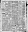South Leeds Echo Saturday 08 January 1887 Page 3