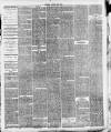 South Leeds Echo Saturday 22 January 1887 Page 3