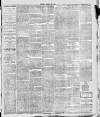 South Leeds Echo Saturday 29 January 1887 Page 3