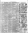 Skyrack Courier Saturday 25 March 1905 Page 7