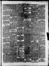 Newmarket Weekly News Saturday 22 June 1889 Page 5