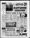 Nottingham Evening Post Saturday 05 November 1988 Page 37